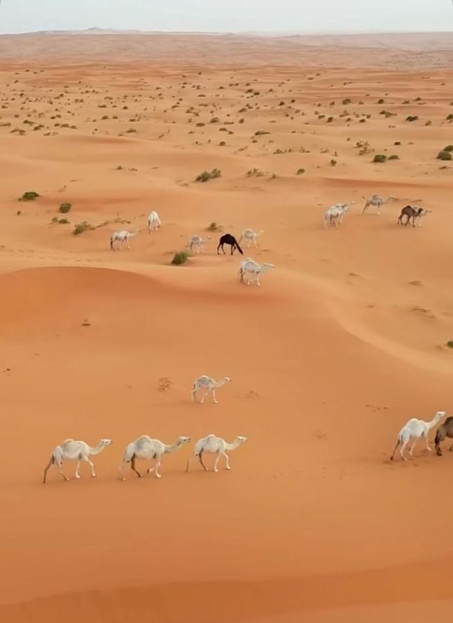Desert Diamond Private New Camp Bidiya Exterior photo